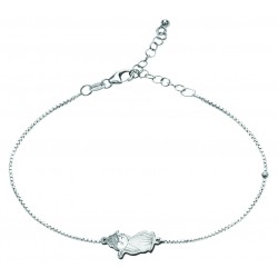 DNJ 01 BG - Gatto